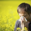 What Is Allergy And What Causes It