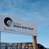 What Is The Purpose Of The Svalbard Global Seed Vault