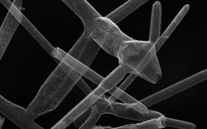 Aerographite