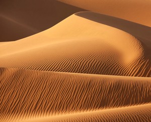 Desert