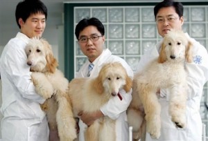 Facts About Cloning