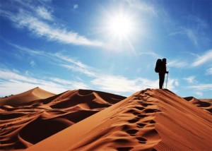 How to Survive in the Desert