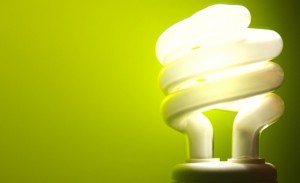 Light Bulbs