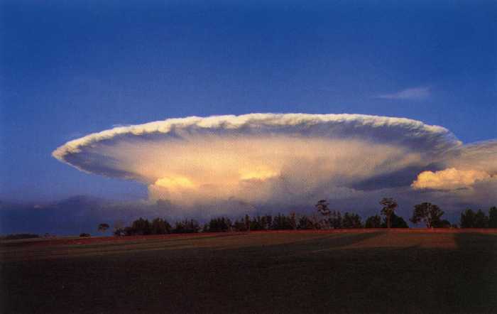 [Image: What-is-a-Supercell.jpg]