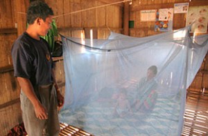 Malaria Malaria