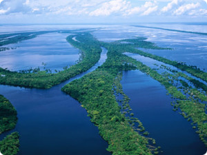 Mouth of the Amazon river