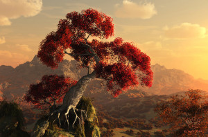 New worlds
