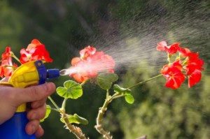 Pesticides Kill Pests