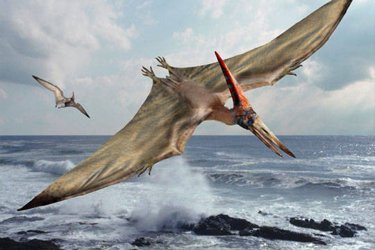 modern pterodactyl