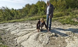 Sauropod foot track