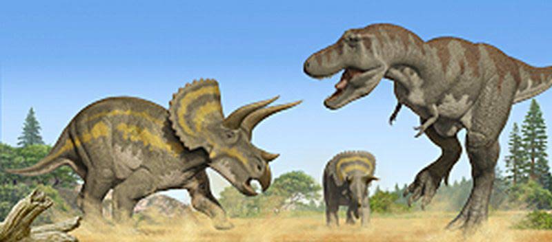 Triceratops vs tyrannosaur