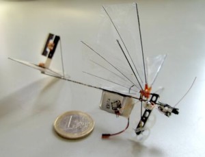 DelFly Micro
