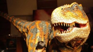 reign of the dinosaurs