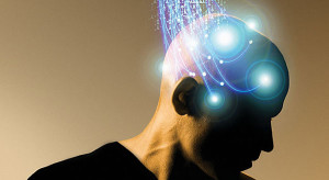 Download Brain