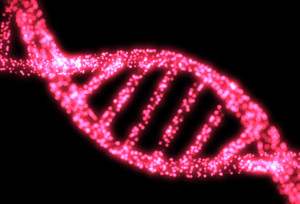Quadruple Helix DNA