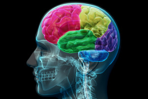 brain computer interface