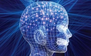 brain mind