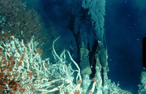 Hydrothermal Vents