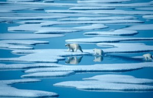 Arctic Meltdown by Geza Tatrallyay