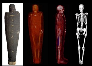 Mummies And the Mummification