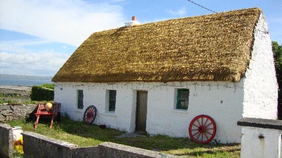 are thatched roofs hard to maintain