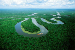 Amazon River Facts