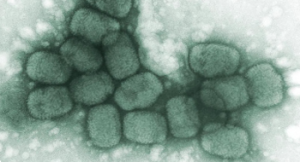 Contagious disease killed millions