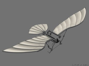 Da Vinci Flying Machine 3D