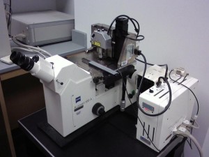 Atomic Force Microscopy