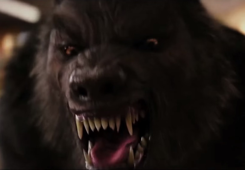 Facts And Myths About Werewolves - Some Interesting Facts