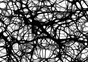 neurons-brain