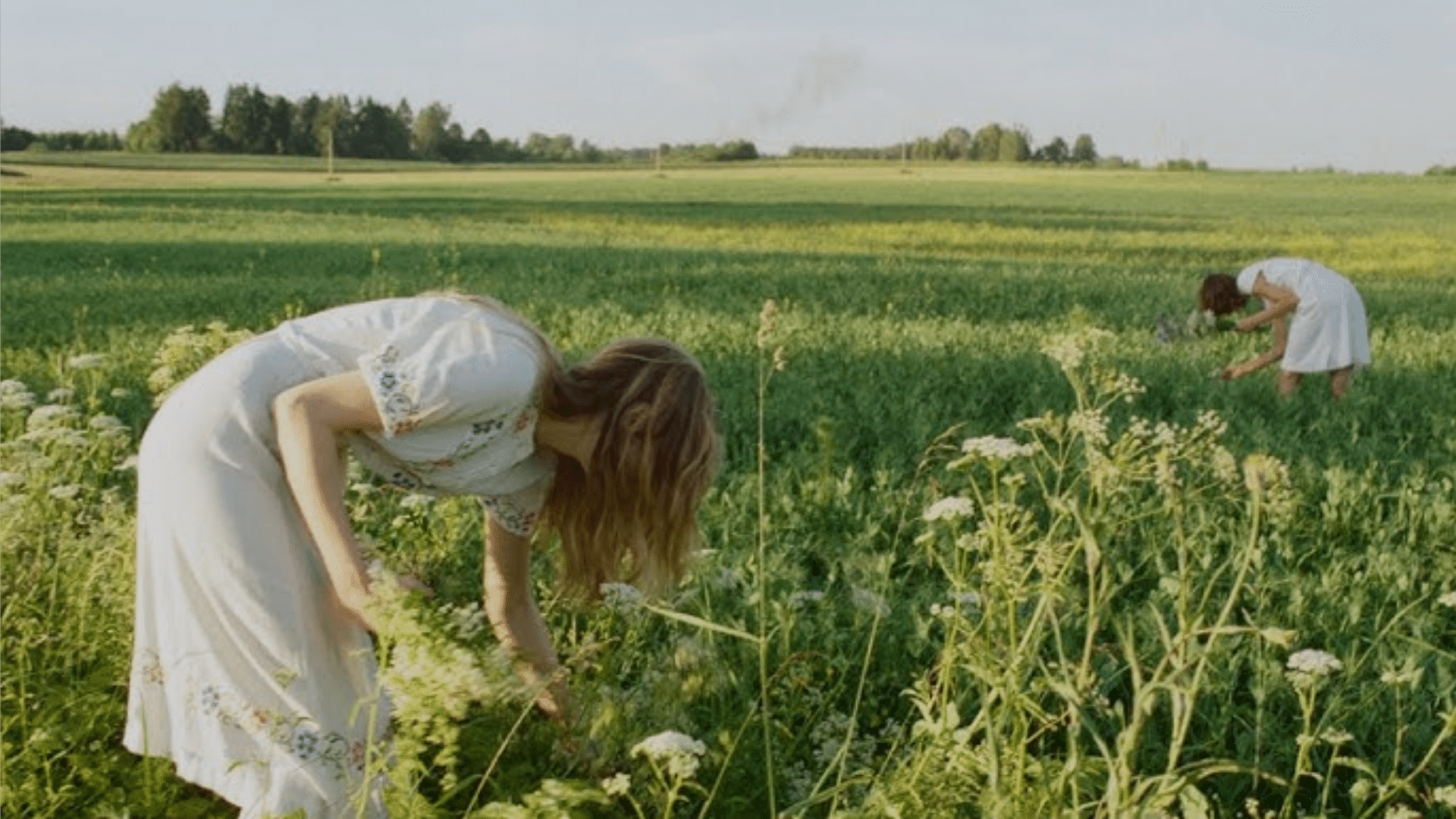 Latvias_20-Hour_Midsummer_Daylight