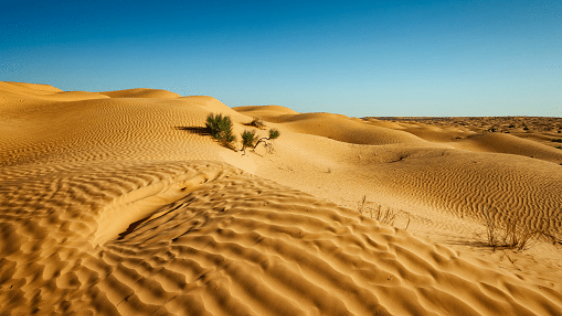 The_Grand_Erg_Oriental