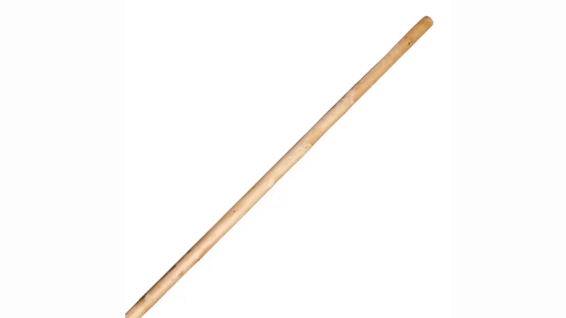 Staff_Cudgel_Gun