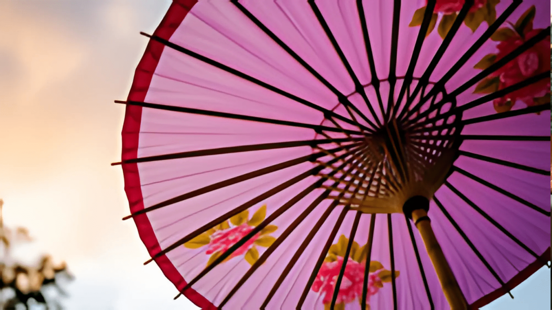 Chinese-Umbrella