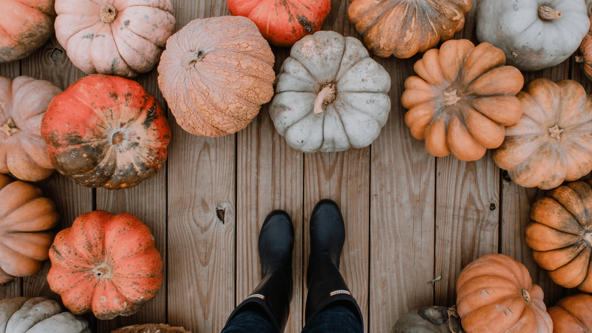 Facts About the History and Origin of Pumpkins