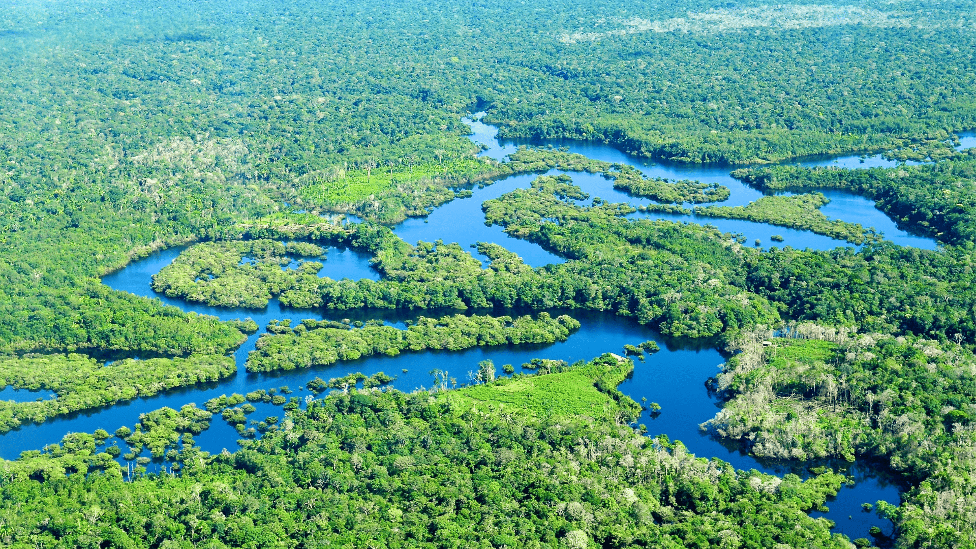 Key Insights Into Climate and Weather Patterns