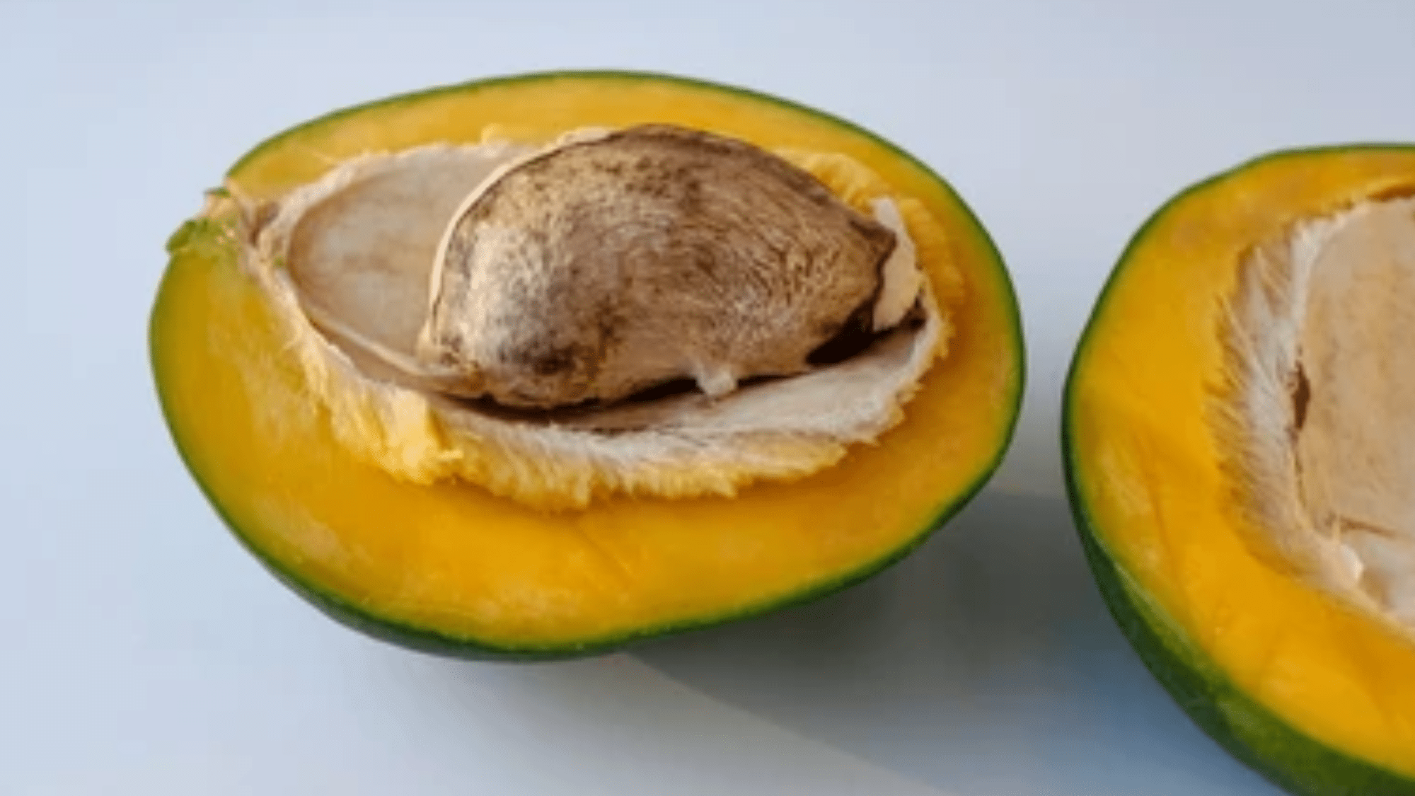 Mangoes_are_a_Drupe_or_Stone_Fruit