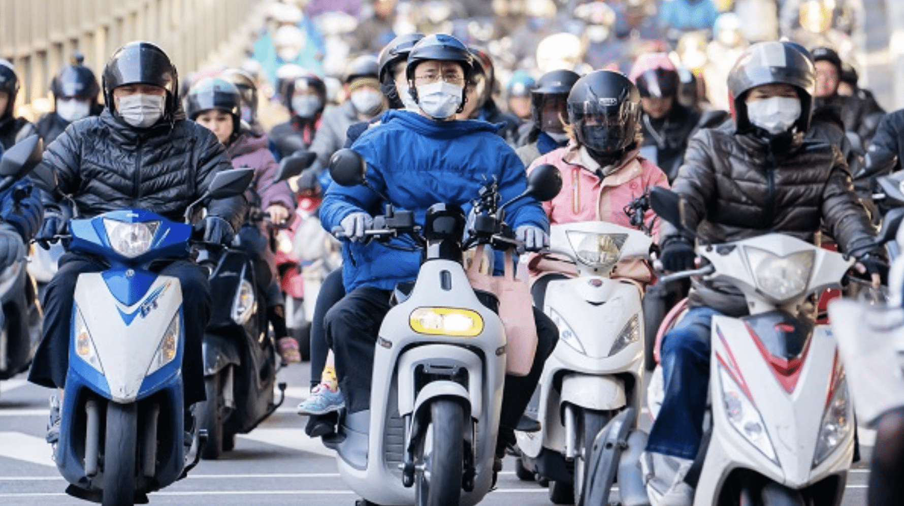 Scooter Nation
