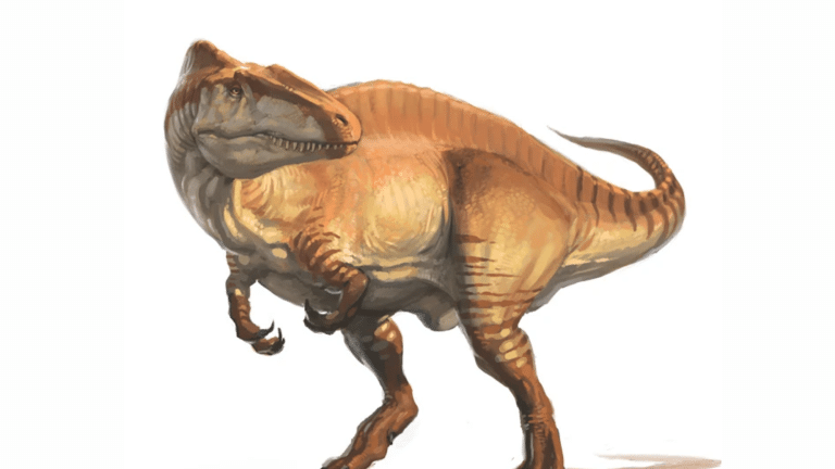 Apex Predator Acrocanthosaurus Diet