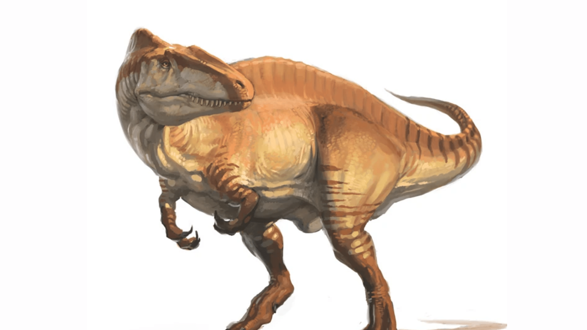 Apex Predator Acrocanthosaurus Diet