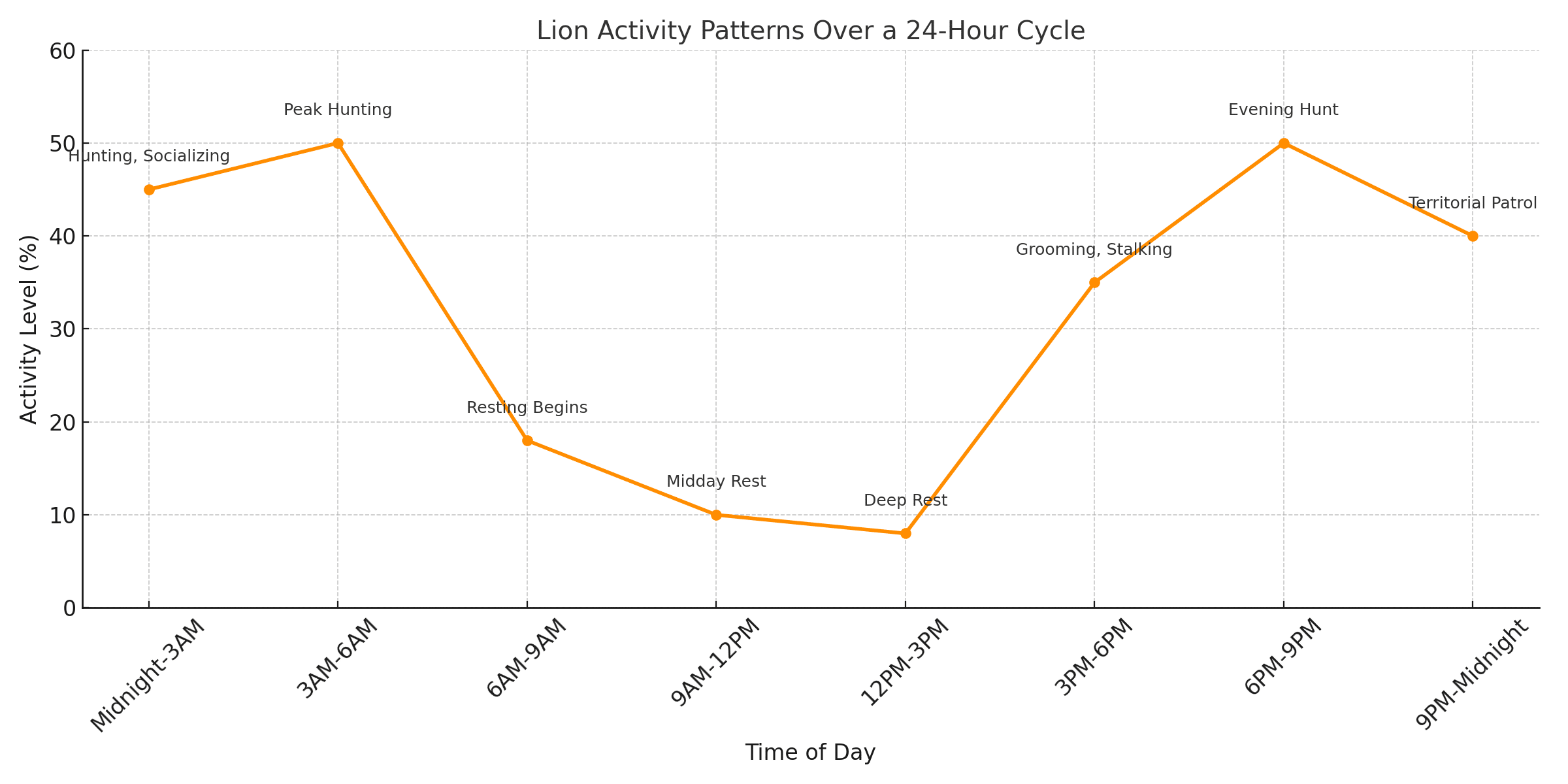 Activity Patterns & Energy Conservation
