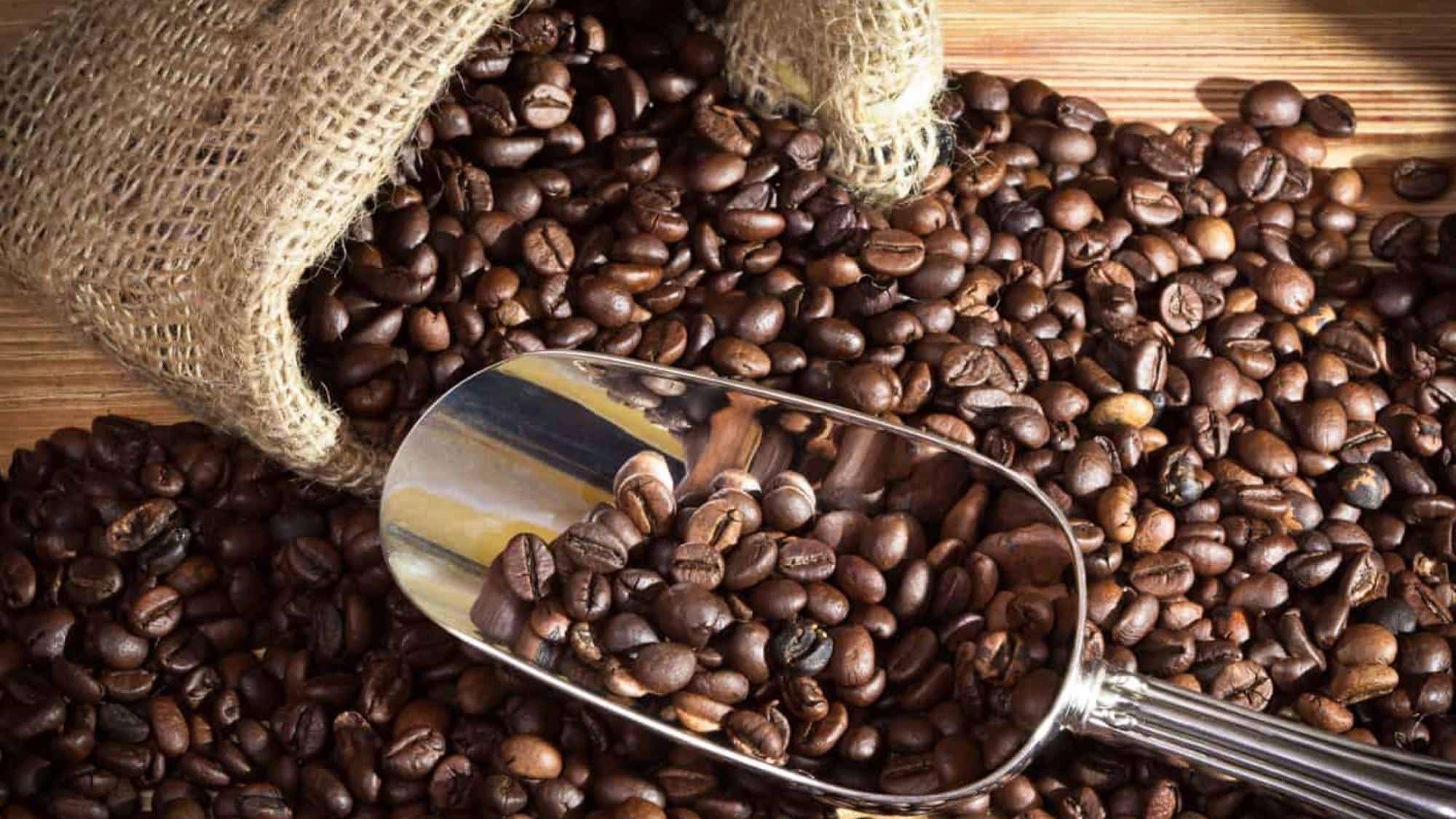Coffee Standards
