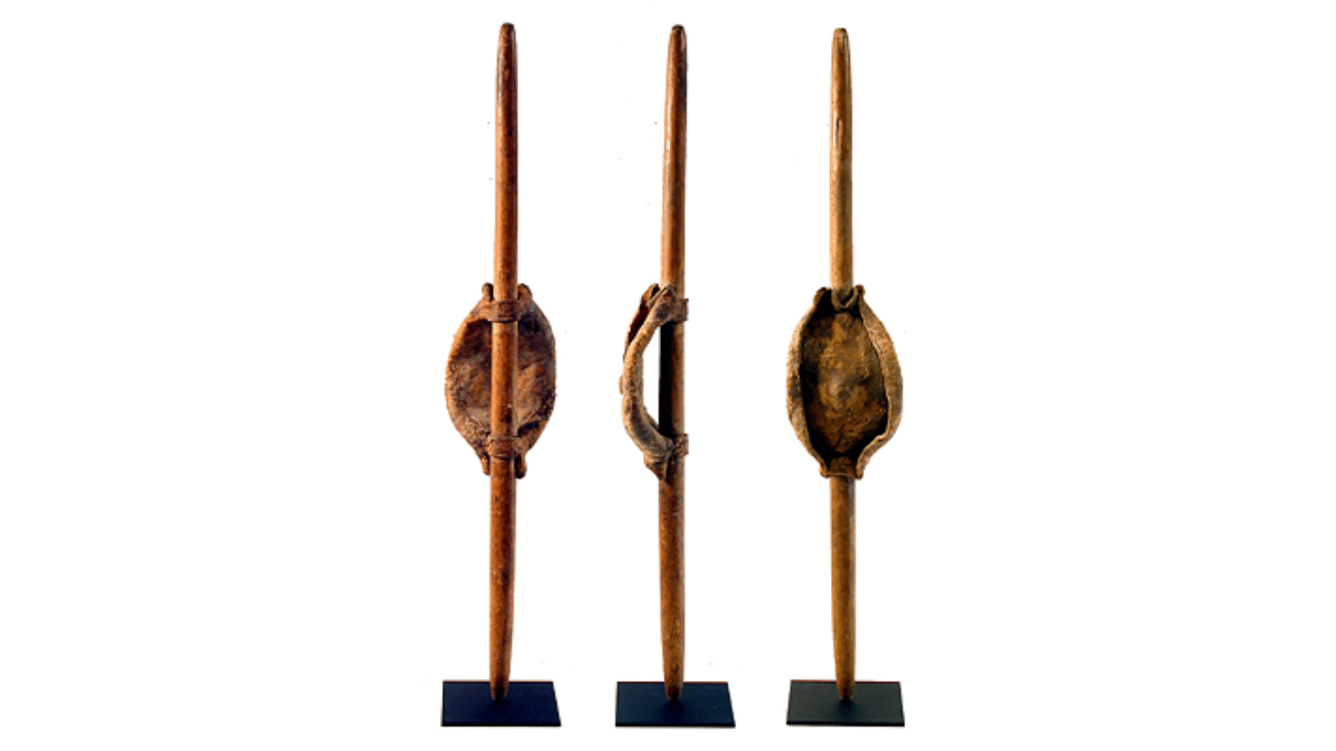 Dinka Shield