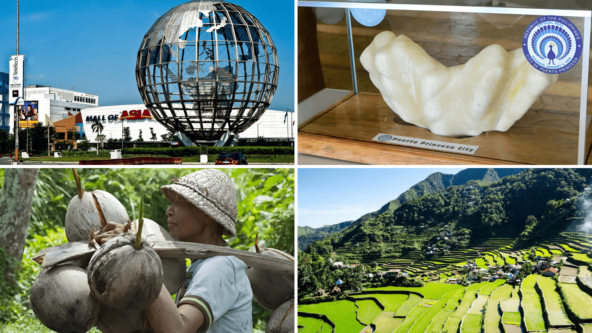 Economic and Agricultural Features