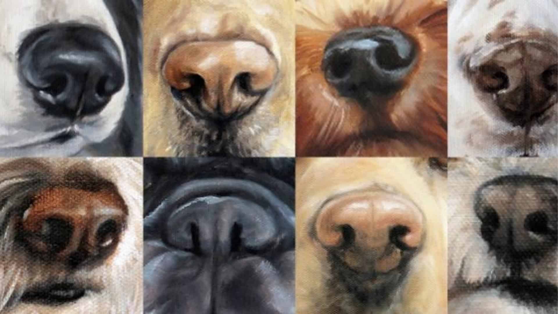 Every Dog has a Unique Nose Print
