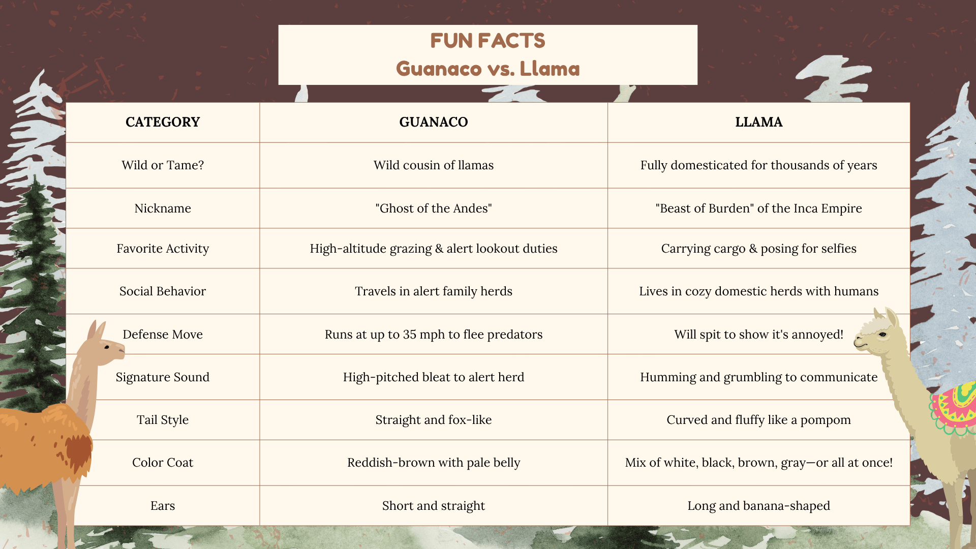 Fun-Facts-Guanaco-vs-Llama