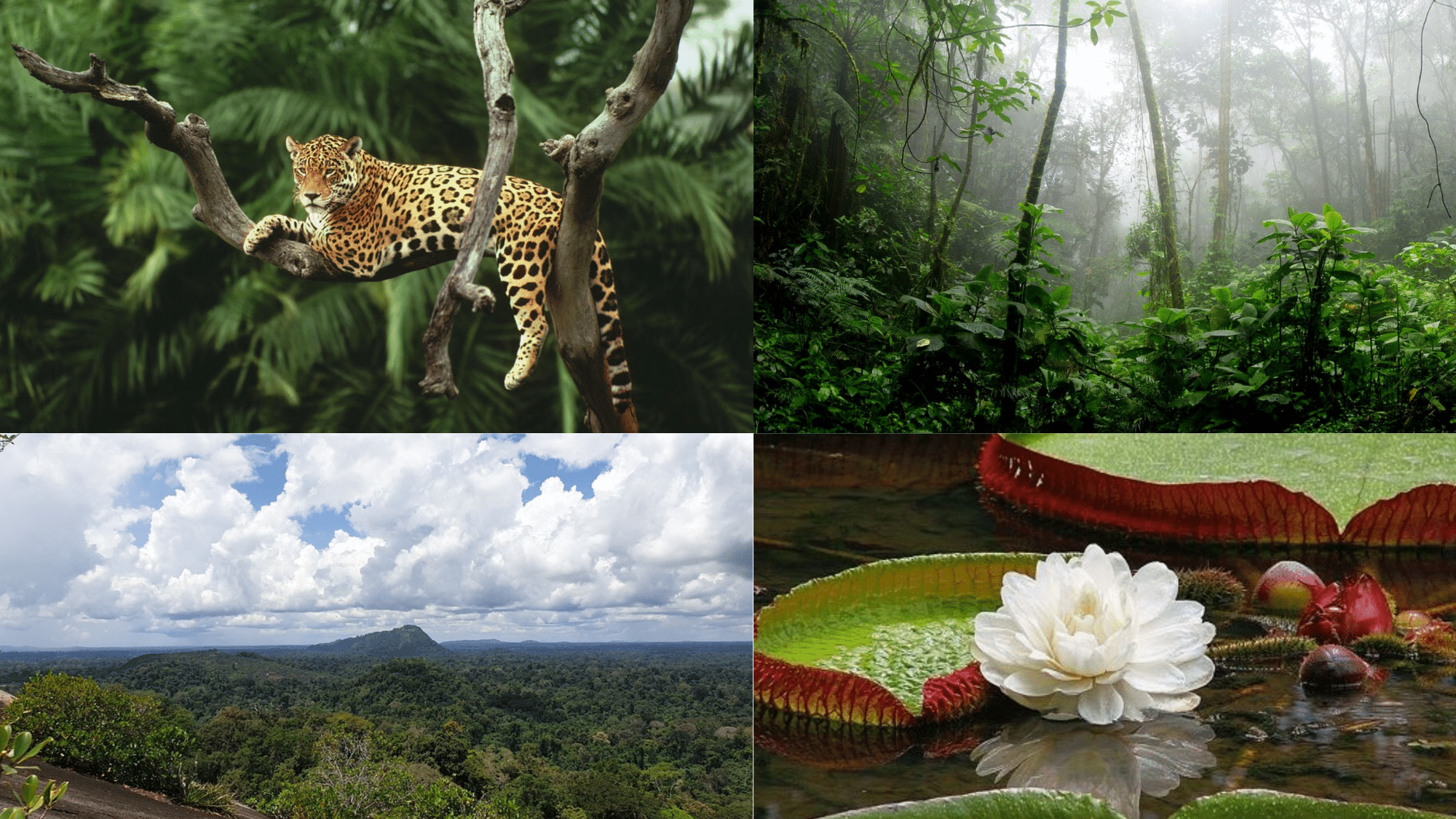 Geography & Nature
