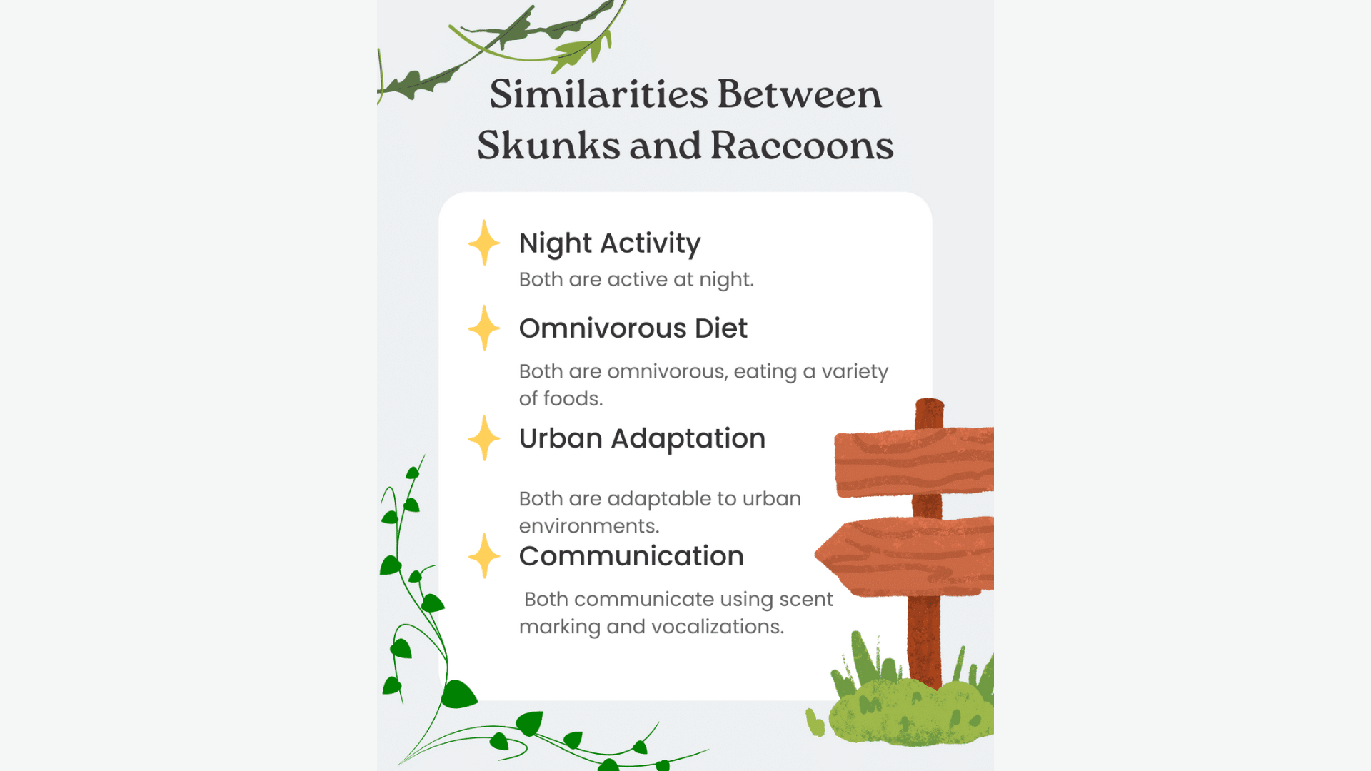 How do Raccoons and Skunks Defend Themselves?
