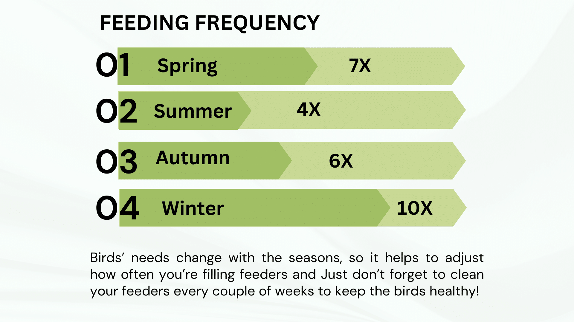 How to Identify a Bird Without Getting Overwhelmed?
